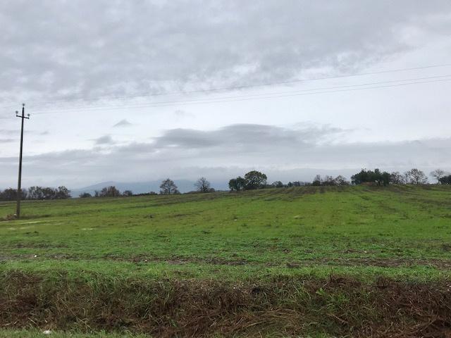 negozio in vendita a Pitigliano