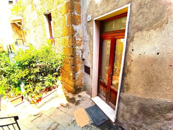 appartamento in vendita a Pitigliano