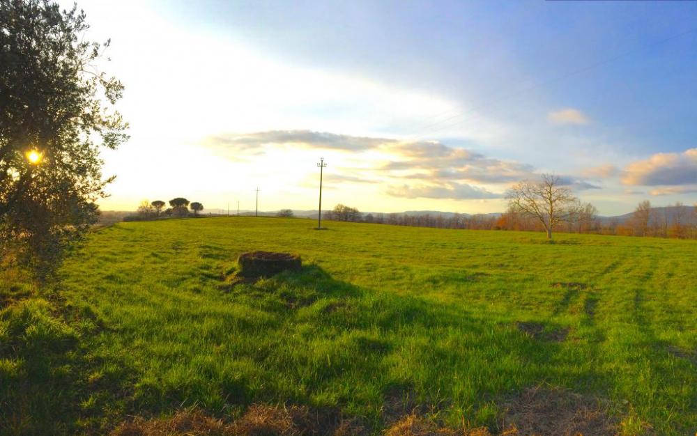 locale di sgombero in vendita a Pitigliano