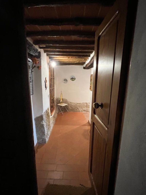 appartamento in vendita a Pitigliano