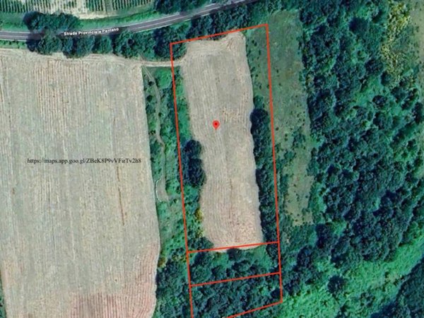 terreno agricolo in vendita a Pitigliano