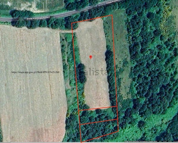 terreno agricolo in vendita a Pitigliano