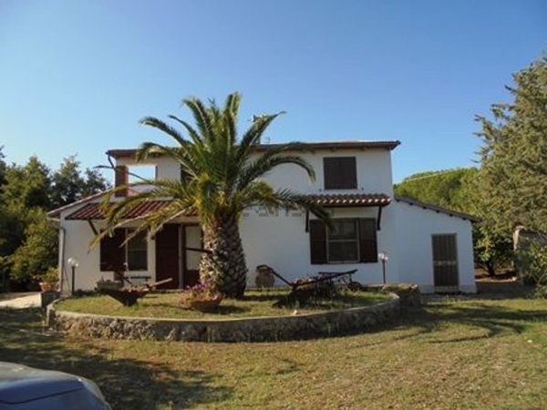 esavano in vendita a Pitigliano