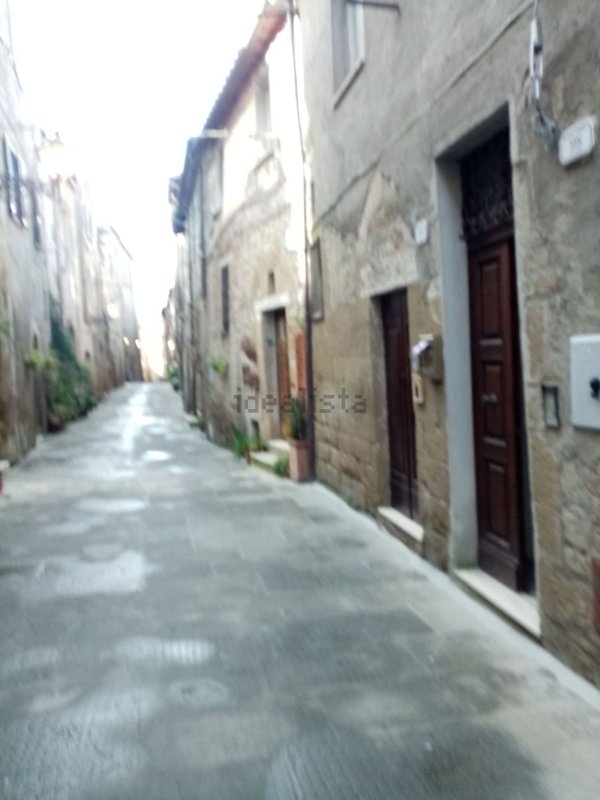 appartamento in vendita a Pitigliano
