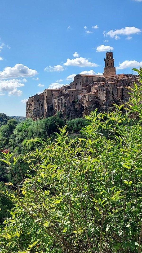 appartamento in vendita a Pitigliano