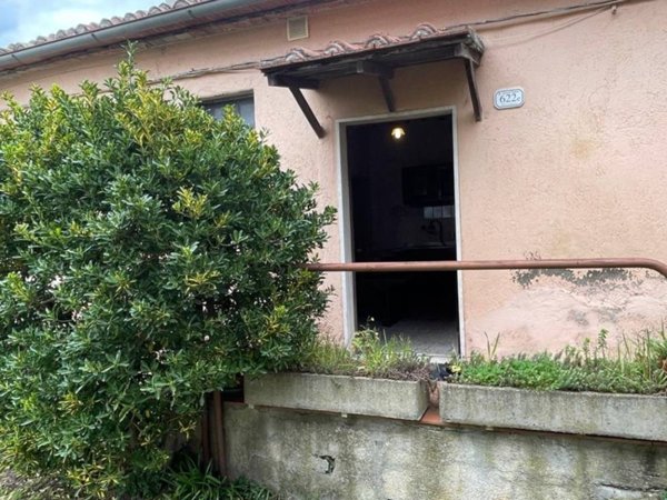 appartamento in vendita a Pitigliano