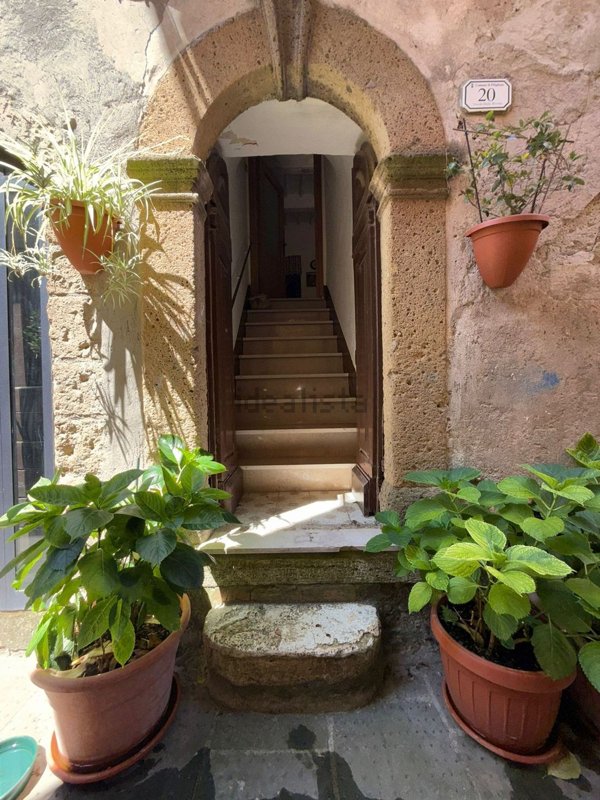 appartamento in vendita a Pitigliano