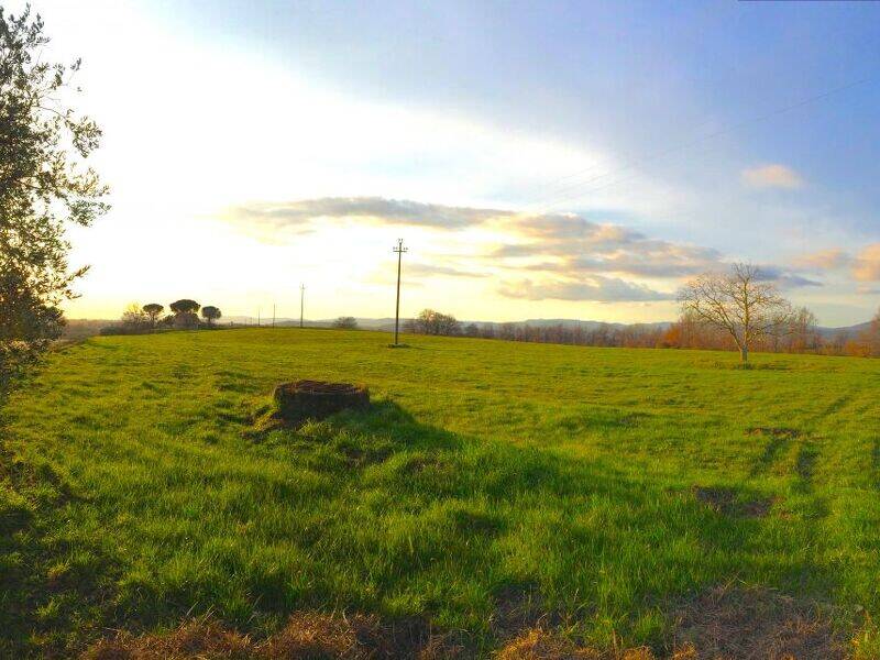 locale di sgombero in vendita a Pitigliano