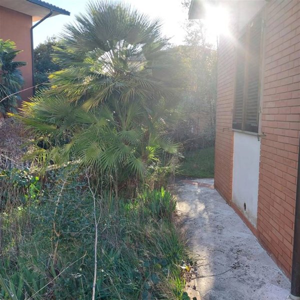 appartamento in vendita a Pitigliano