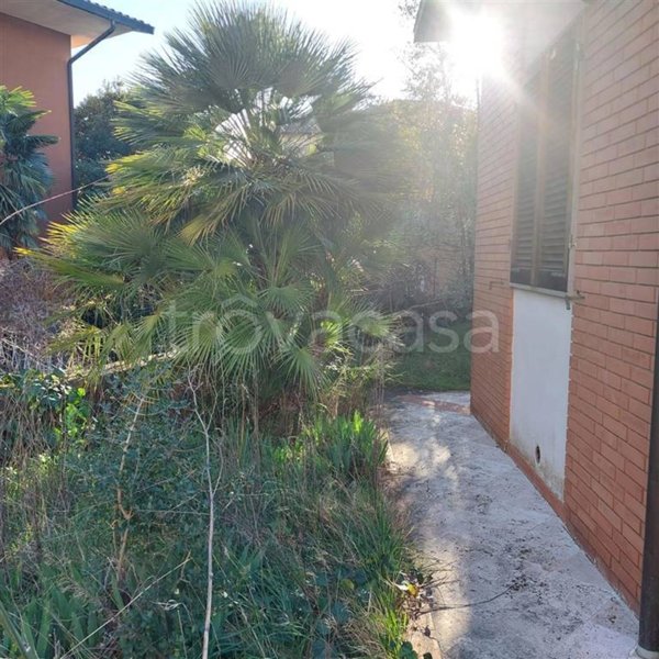 appartamento in vendita a Pitigliano