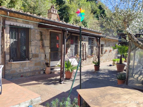 appartamento in vendita a Pitigliano