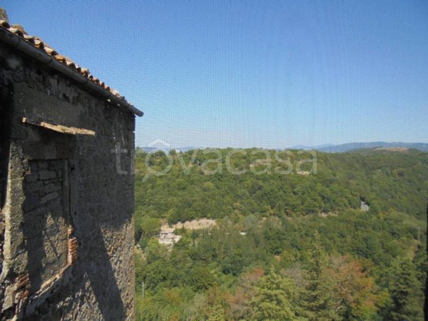 appartamento in vendita a Pitigliano