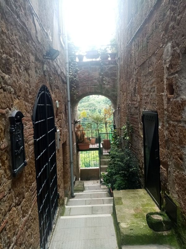 appartamento in vendita a Pitigliano