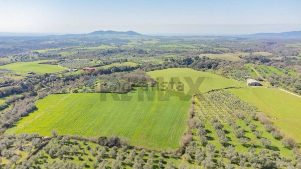 terreno agricolo in vendita a Pitigliano