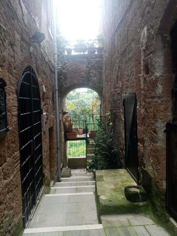 appartamento in vendita a Pitigliano