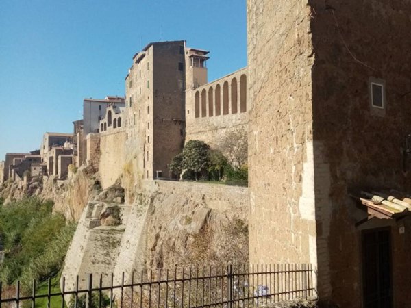 casa indipendente in vendita a Pitigliano