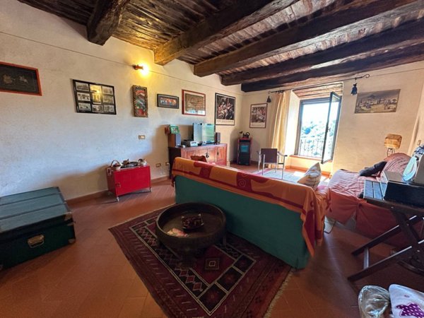 appartamento in vendita a Pitigliano
