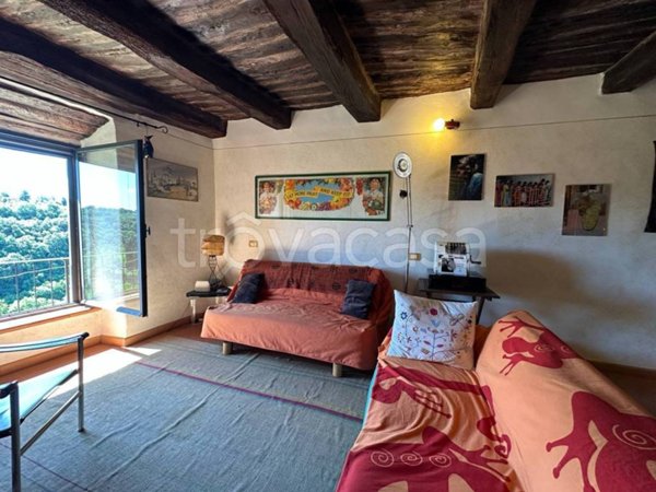 appartamento in vendita a Pitigliano