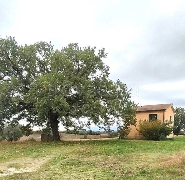 casa indipendente in vendita a Pitigliano in zona Pian di Morrano