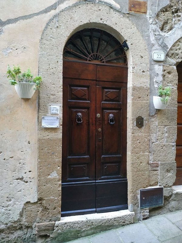 appartamento in vendita a Pitigliano