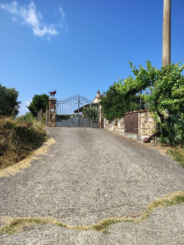 esavano in vendita a Pitigliano in zona Pian di Morrano