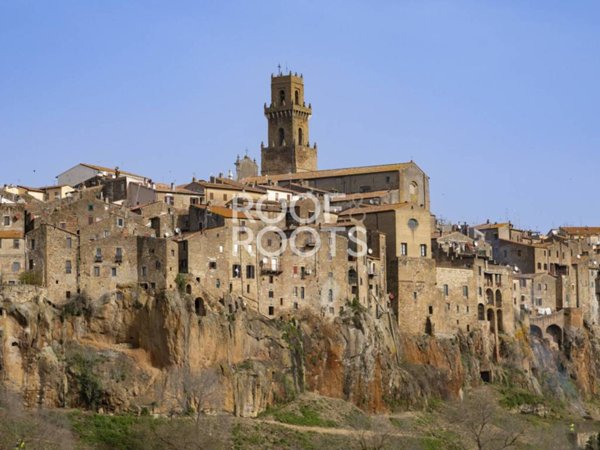 negozio in vendita a Pitigliano