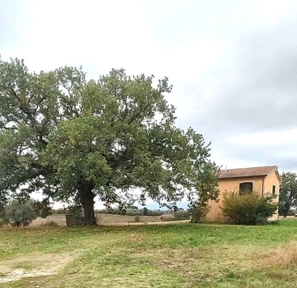 casa indipendente in vendita a Pitigliano in zona Pian di Morrano
