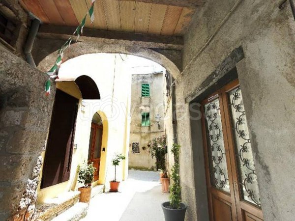appartamento in vendita a Pitigliano