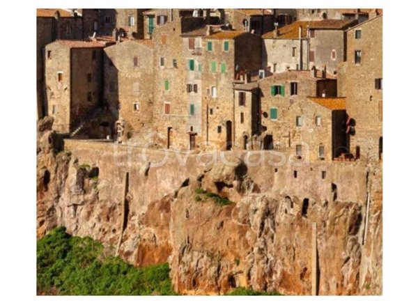 appartamento in vendita a Pitigliano