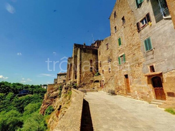 appartamento in vendita a Pitigliano