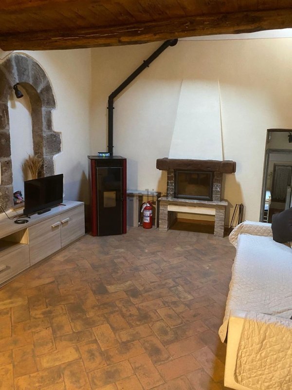 appartamento in vendita a Pitigliano