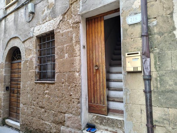 appartamento in vendita a Pitigliano