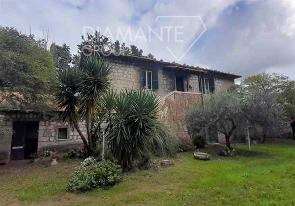 azienda agricola in vendita a Pitigliano