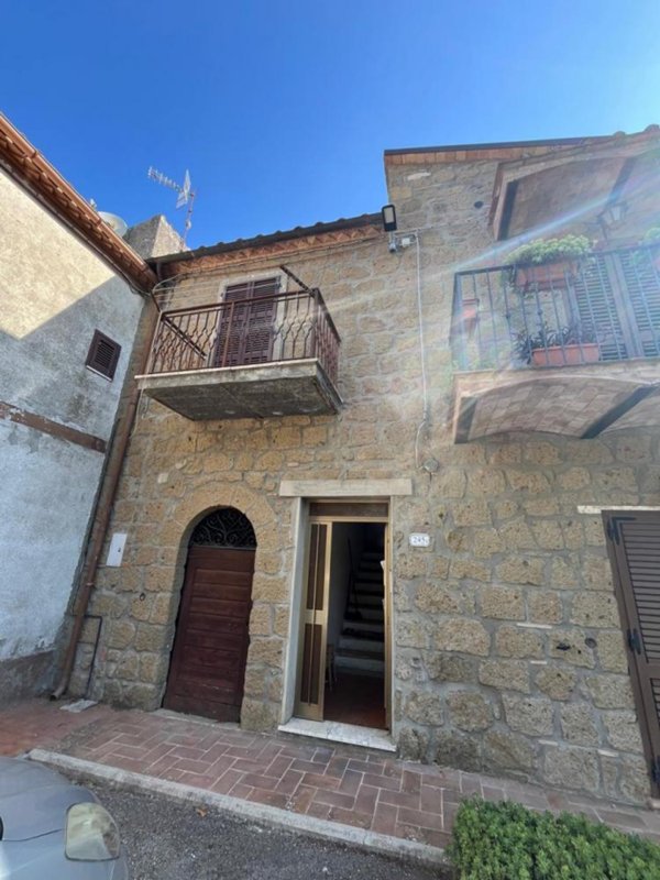appartamento in vendita a Pitigliano