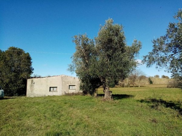 casa indipendente in vendita a Pitigliano in zona Il Casone