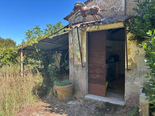 casa indipendente in vendita a Pitigliano in zona Il Casone