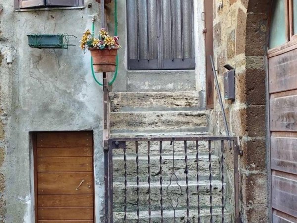 appartamento in vendita a Pitigliano