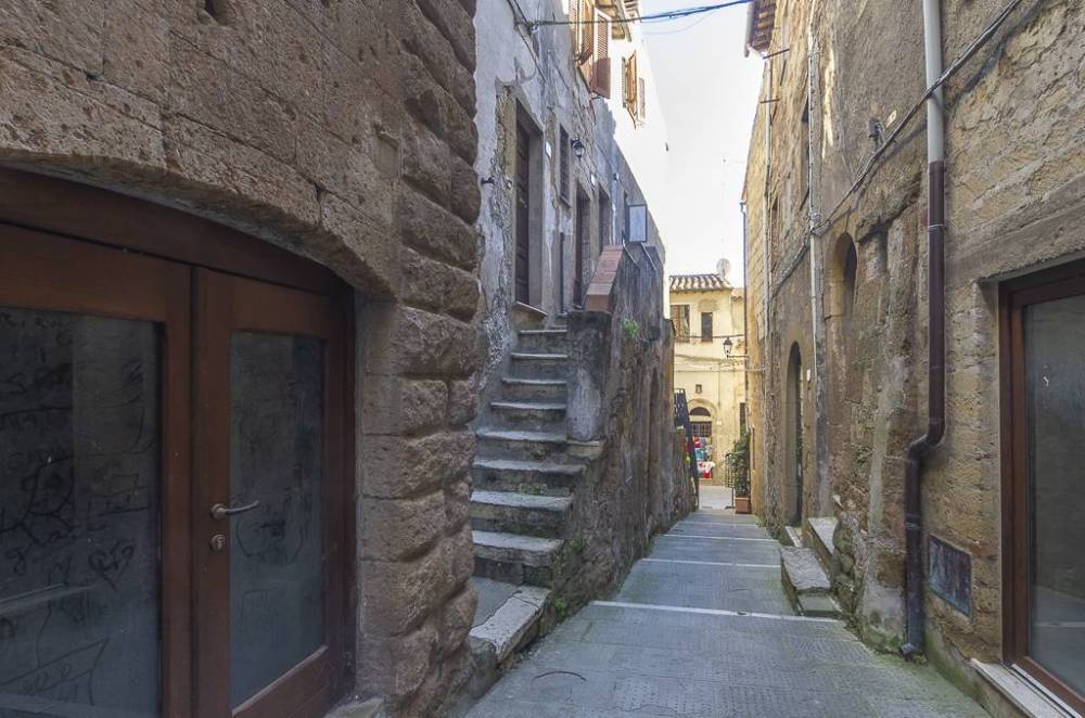 appartamento in vendita a Pitigliano