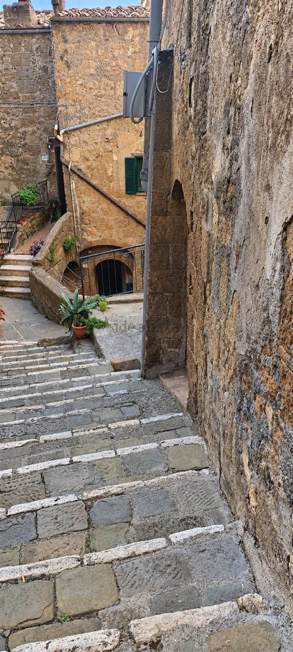 appartamento in vendita a Pitigliano