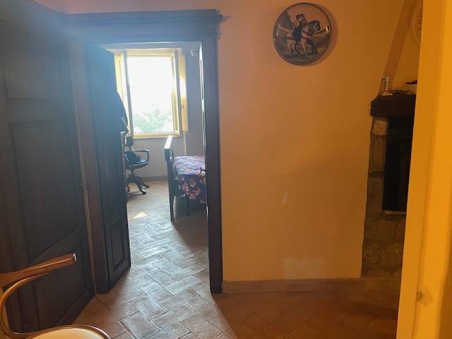 appartamento in vendita a Pitigliano