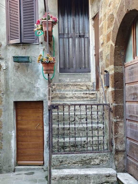 appartamento in vendita a Pitigliano