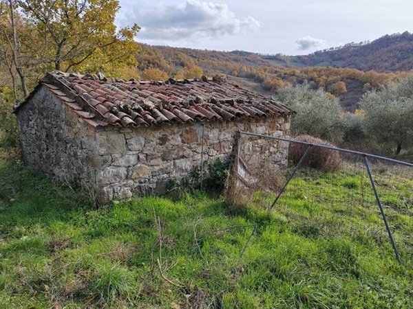 terreno agricolo in vendita a Roccalbegna