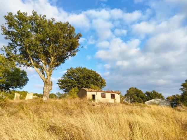 appartamento in vendita a Roccalbegna