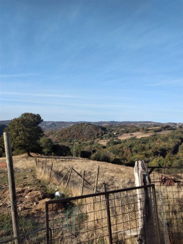 terreno agricolo in vendita a Roccalbegna