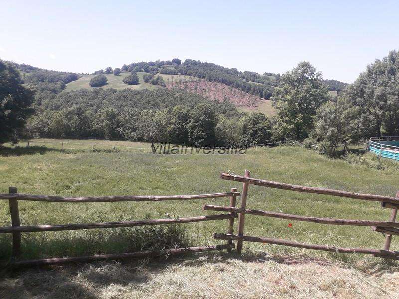 azienda agricola in vendita a Roccalbegna