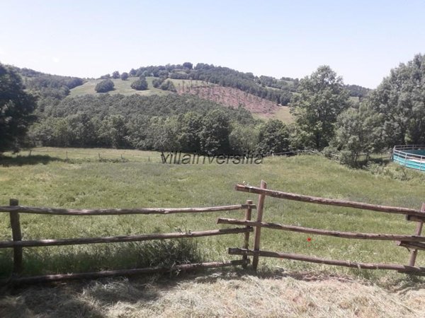 casa indipendente in vendita a Roccalbegna