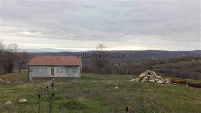 terreno agricolo in vendita a Roccalbegna