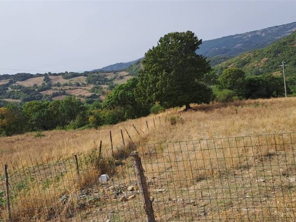 terreno agricolo in vendita a Roccalbegna