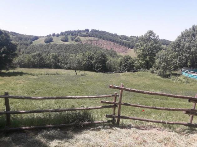 casa indipendente in vendita a Roccalbegna