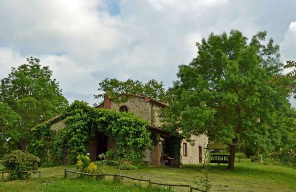 casale in vendita a Roccalbegna